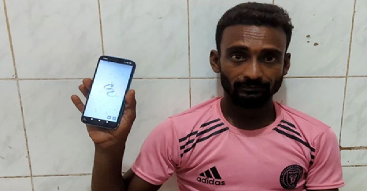 রাসেলস ভাইপারকে লাথি মেরে হাসপাতালে যুবক