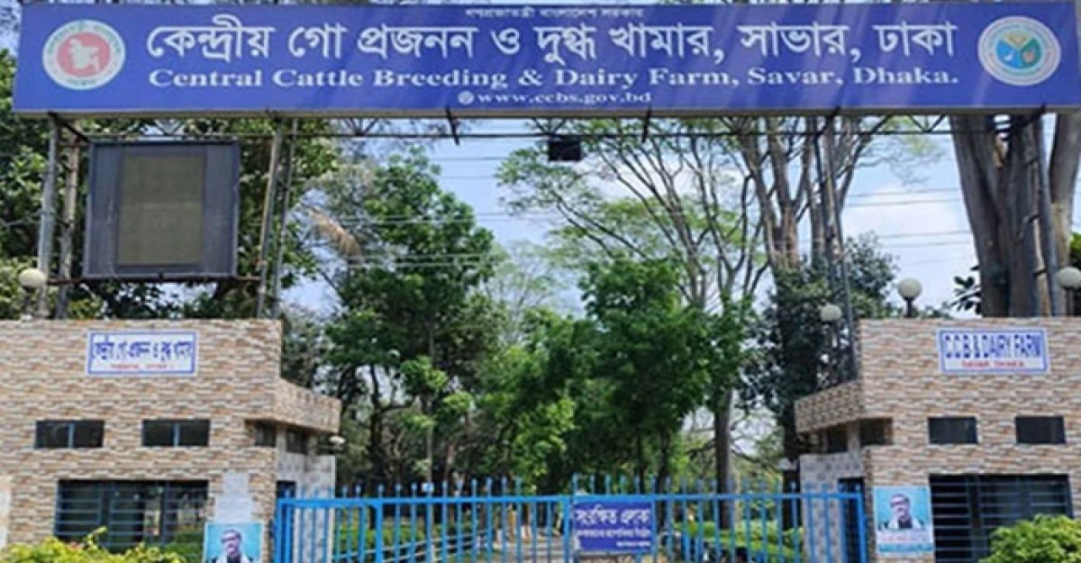 সাভারে কেন্দ্রীয় গো প্রজনন কেন্দ্রে দুদকের অভিযান