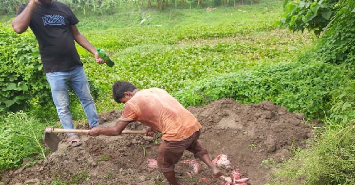 চুয়াডাঙ্গায় অসুস্থ গরুর মাংস বিক্রি, ভোক্তা অধিকারের জরিমানা