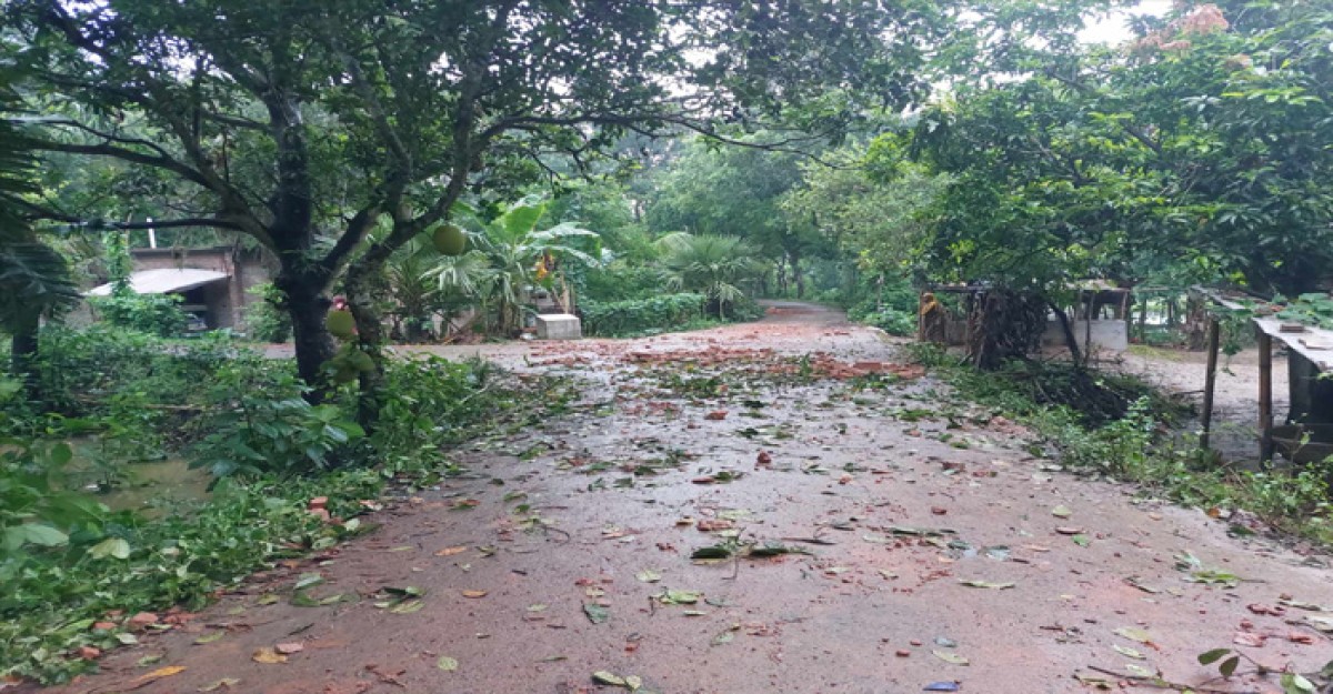 কুষ্টিয়ায় আধিপত্য বিস্তারকে কেন্দ্র করে দুই পক্ষের সংঘর্ষে আহত অন্তত ১৫