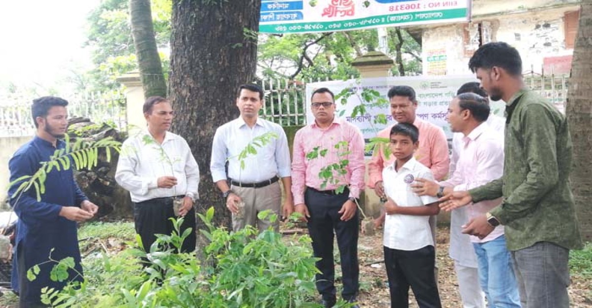 কুতুবদিয়ায় মাসব্যাপি বৃক্ষরোপন কর্মসূচি উদ্বোধন