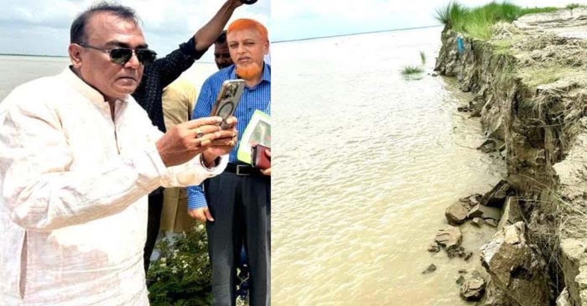 কুষ্টিয়ায় পদ্মা নদীতে তীব্র ভাঙন, ক্ষতিগ্রস্ত এলাকা পরিদর্শন করলেন এমপি