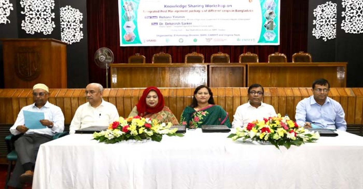 বারিতে সমন্বিত কীটপতঙ্গ ব্যবস্থাপনার উপর কর্মশালা অনুষ্ঠিত
