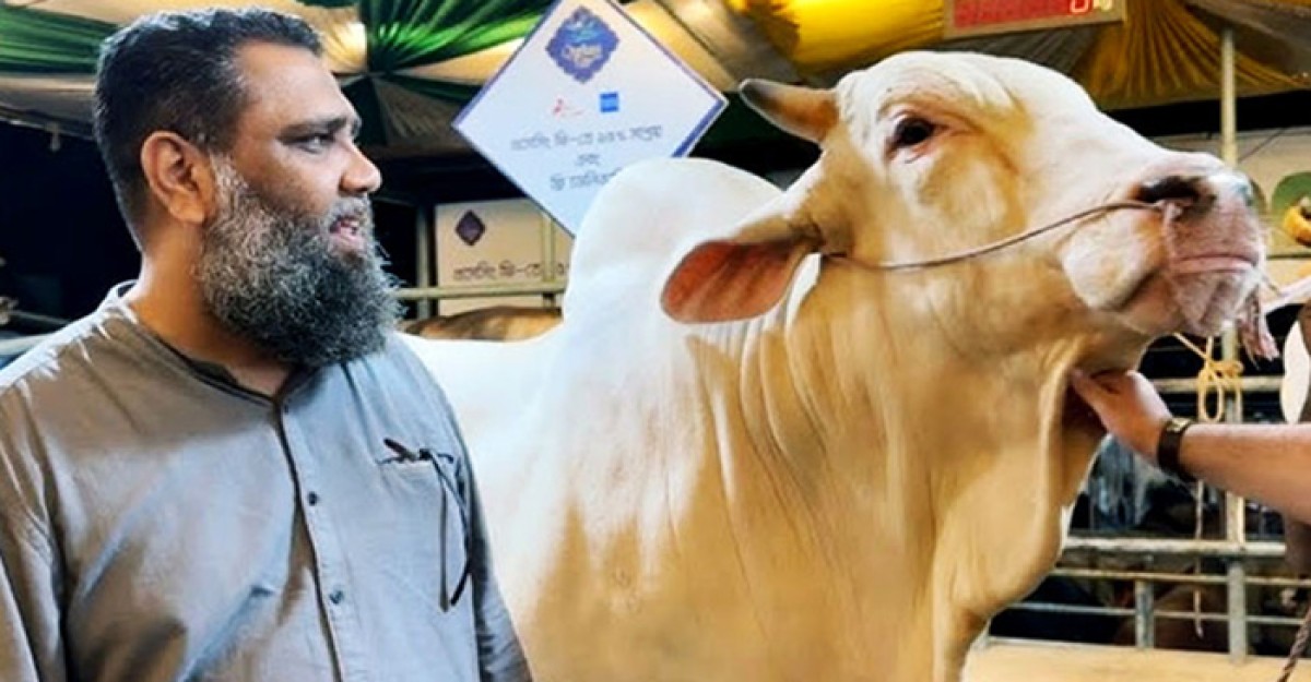 গরুকাণ্ডে ইমরানসহ প্রাণিসম্পদের ৭ কর্মকর্তার নামে দুদকের মামলা