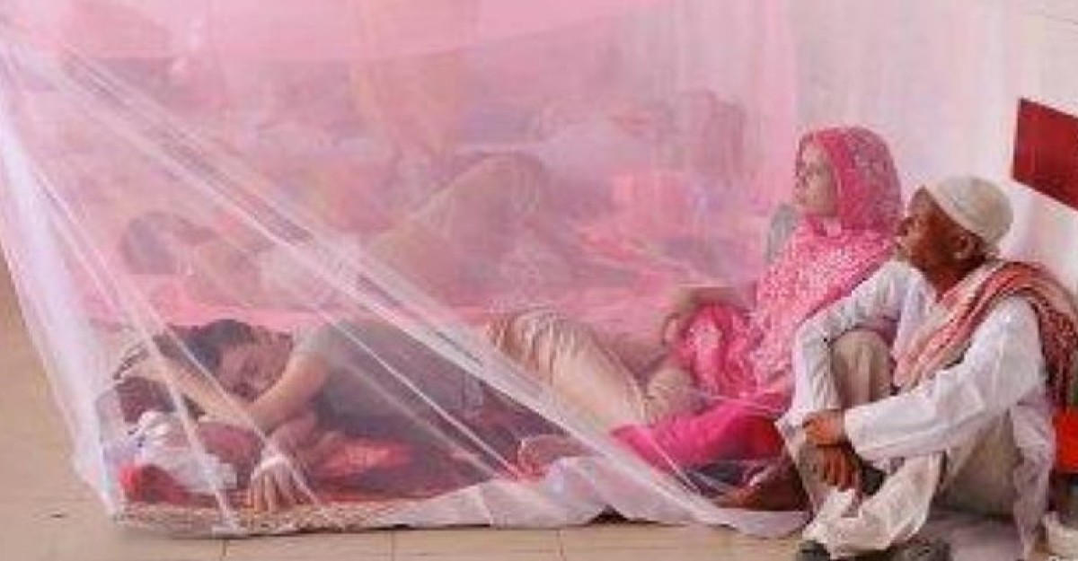 ডেঙ্গুতে এক দিনে ৪ প্রাণহানি