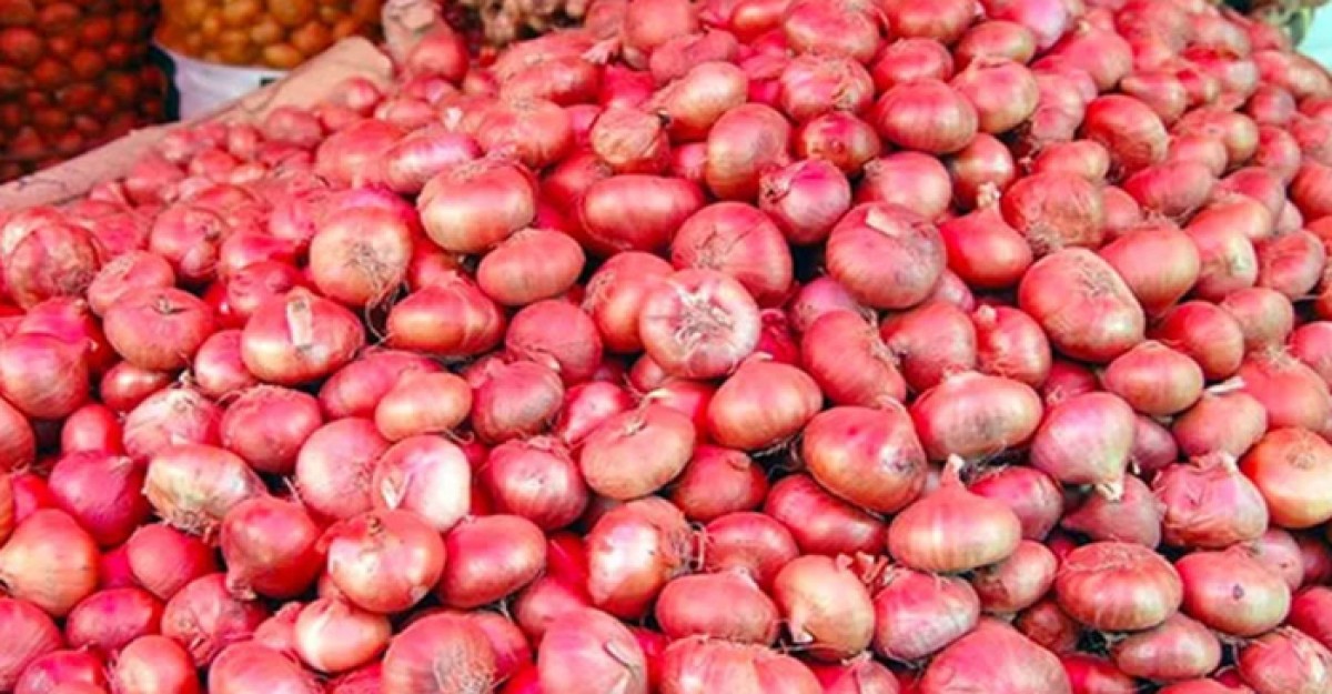 পেঁয়াজ রফতানিতে শর্ত শিথিল করল ভারত
