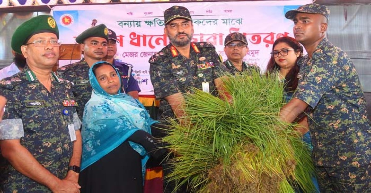 বন্যায় ক্ষতিগ্রস্ত কৃষকদের মাঝে আনসার মহাপরিচালকের আমন ধানের চারা বিতরণ