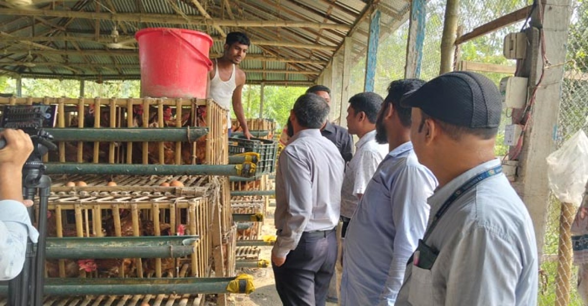লালমনিরহাটে ডিমের সিন্ডিকেট ভাঙতে কাজ করছে টাস্ক ফোর্স কমিটি