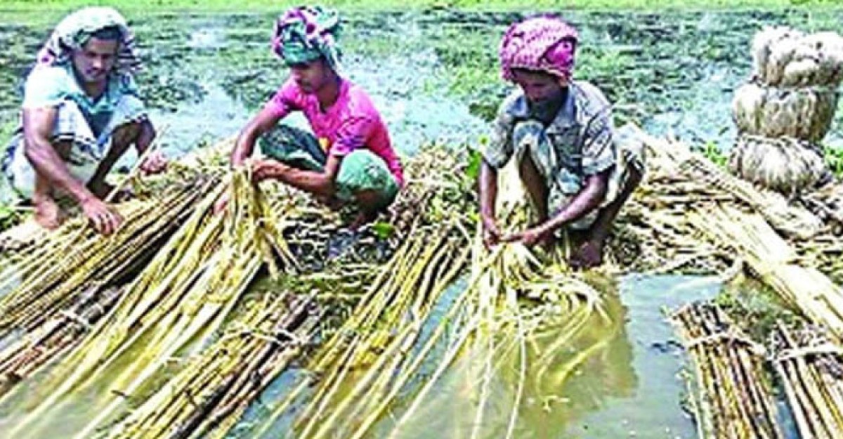 অর্থনীতি ও কর্মসংস্থানের স্বার্থে কাগজ ইস্পাতসহ সব রুগ্ন কারখানাকে উৎপাদনে ফেরাতে হবে