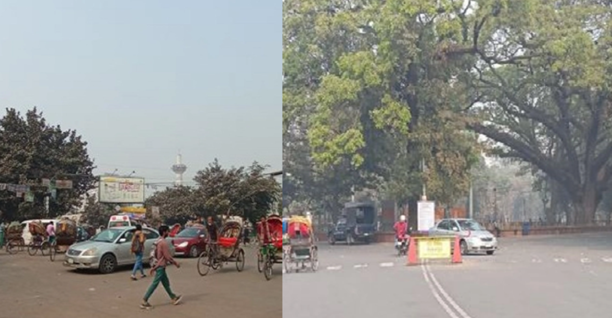 ধাওয়া-পাল্টা ধাওয়া চলছে রাতভর, এখন স্বাভাবিক নীলক্ষেত এলাকা
