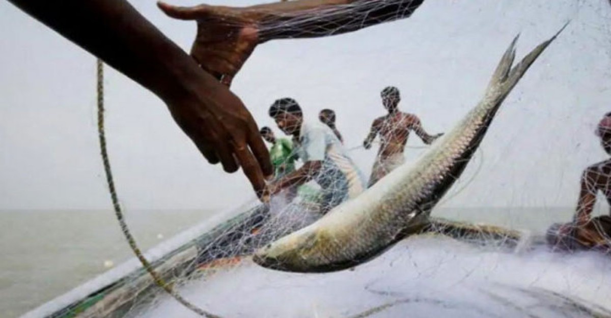 ৫৮ দিন ইলিশ ধরা ও বিক্রিতে নিষেধাজ্ঞা
