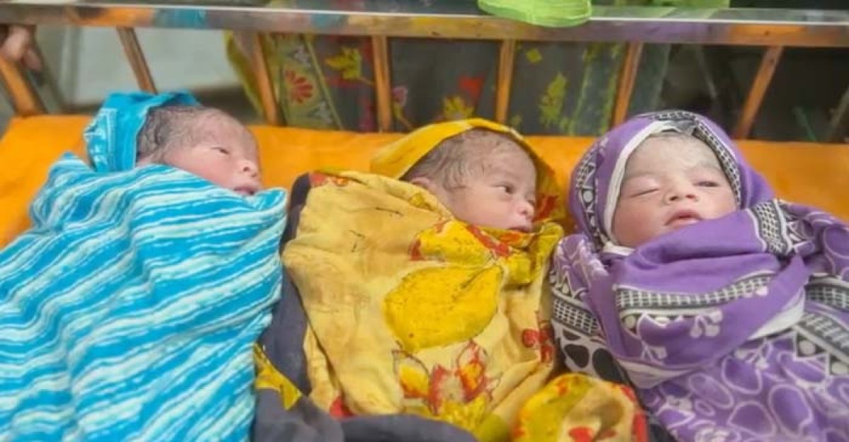 শার্শায় একসঙ্গে তিন সন্তানের জন্ম দিলেন রুনা