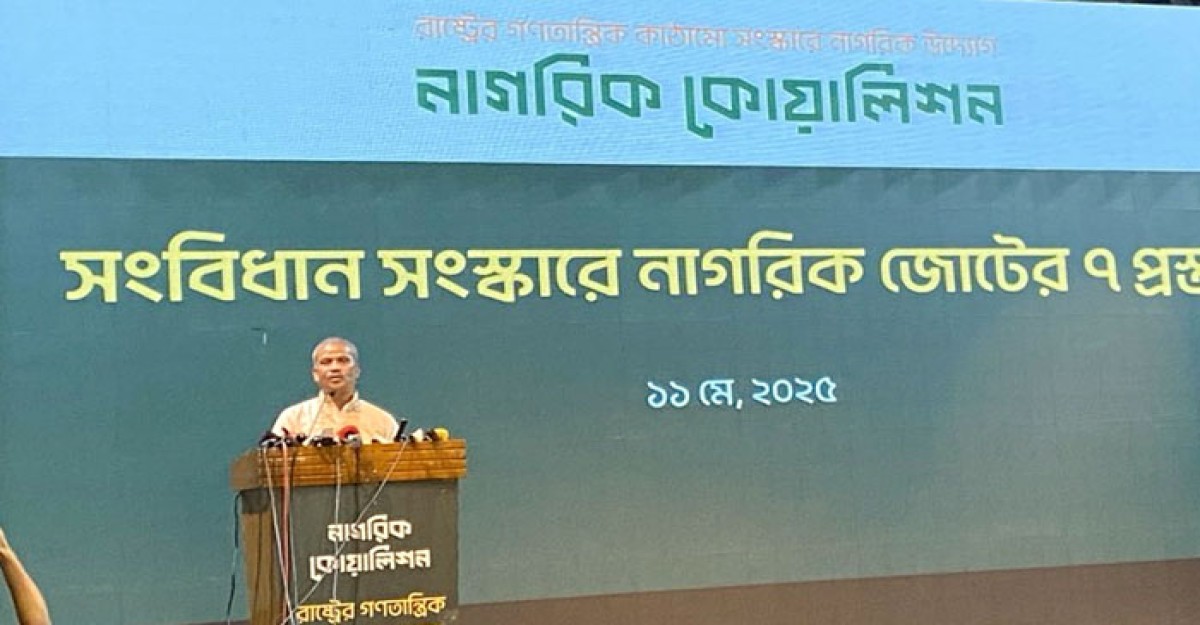 নতুন সংবিধান প্রণয়ন হতে অনেক সময় লাগবে: আসিফ নজরুল