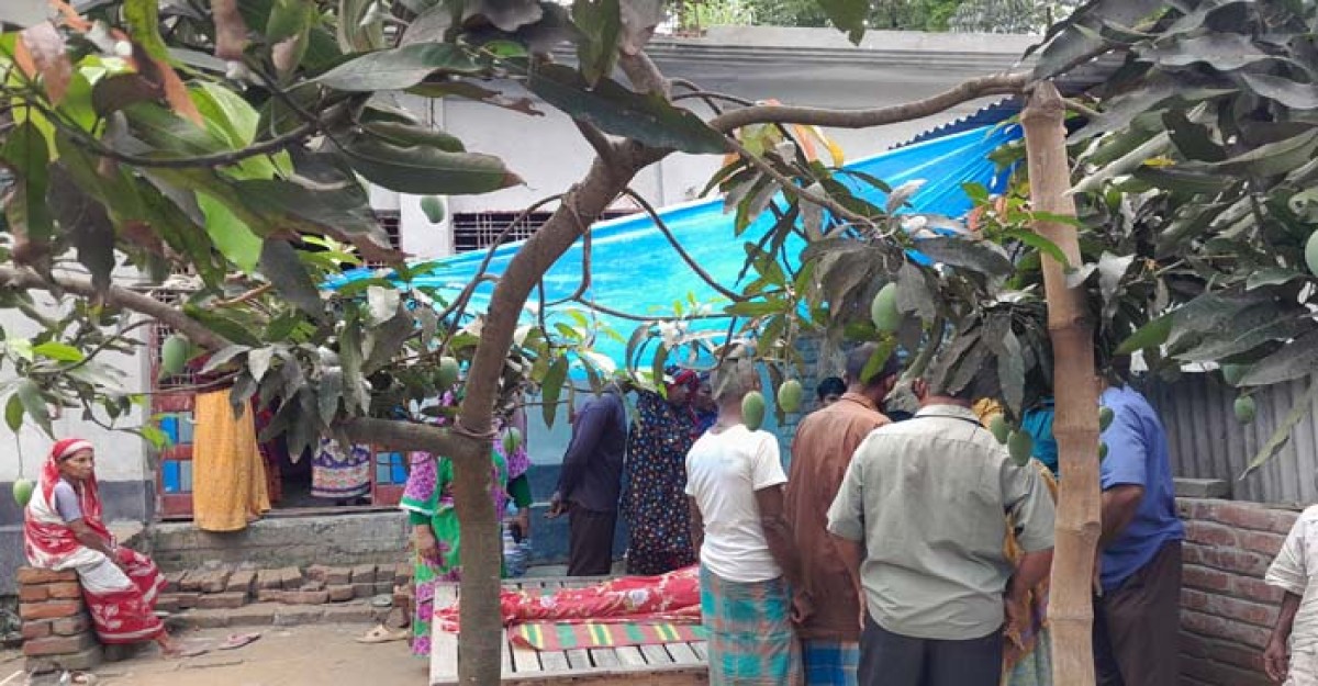 ধান আনতে গিয়ে বজ্রপাতে কৃষকের মৃত্যু
