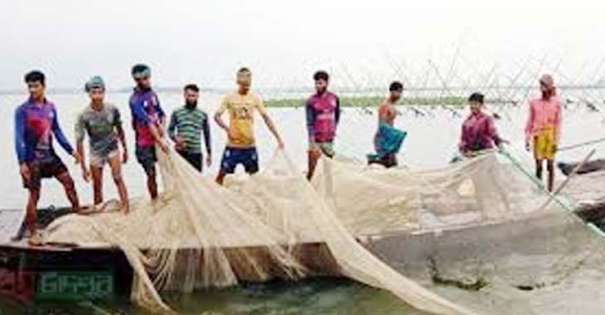 মেঘনা নদীতে ভরা মৌসুমে ইলিশের দেখা নেই