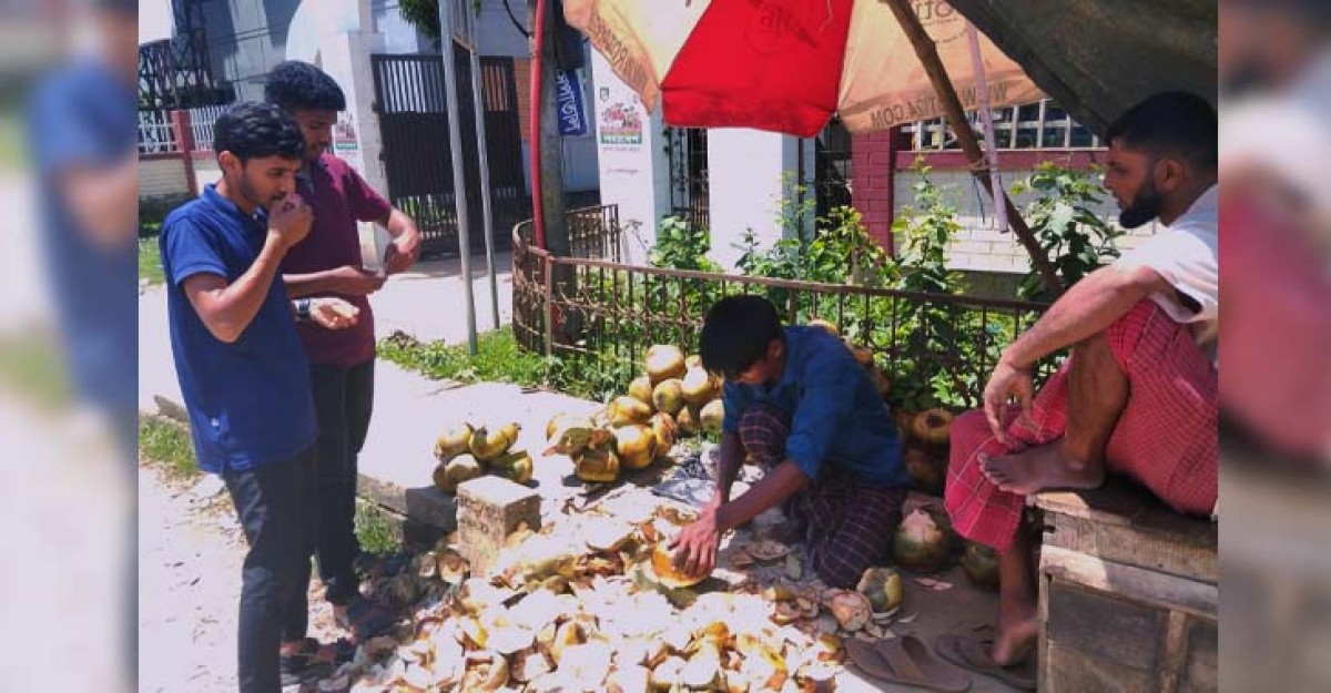 তীব্র রোদে তালশাঁসে স্বস্তি খুজছেন পথচারীরা