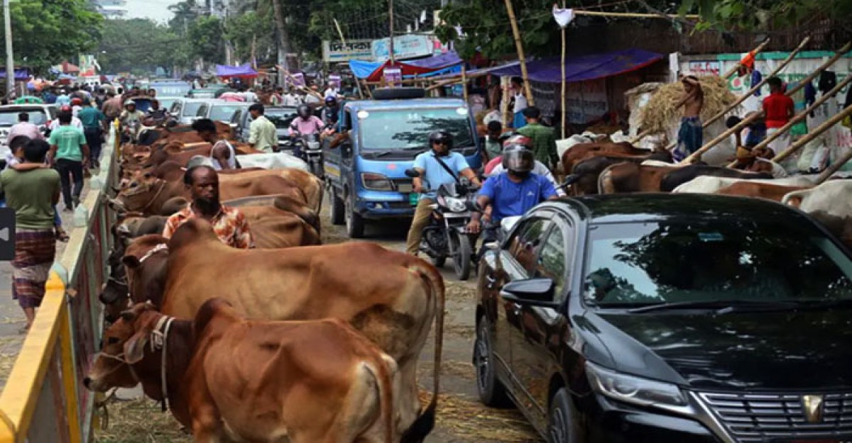 হাটে নেই পর্যাপ্ত পশু, বেড়েছে ক্রেতার চাপ