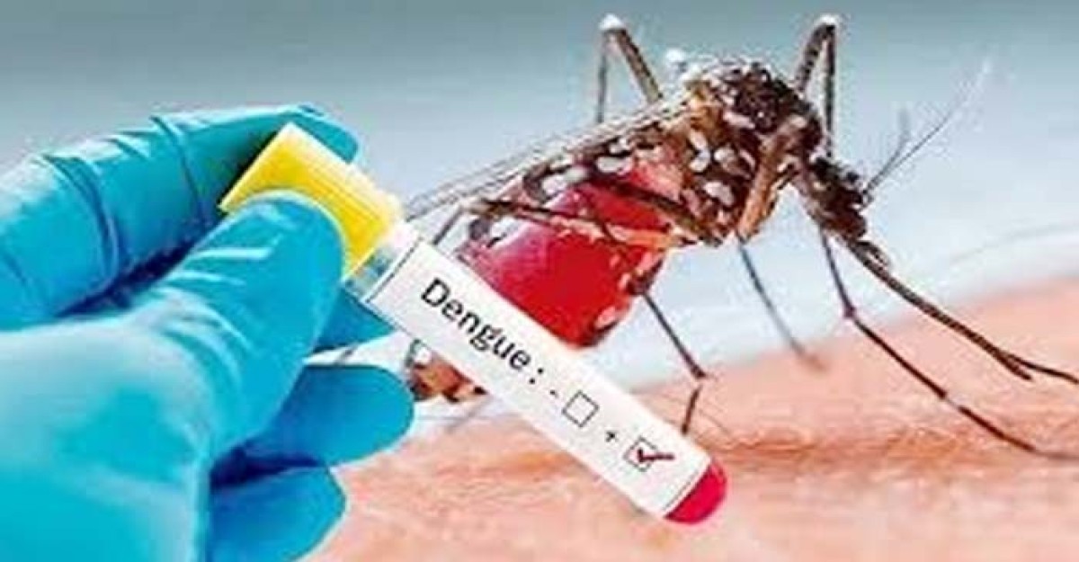 ভয় ধরাচ্ছে ডেঙ্গু, ২৪ ঘণ্টায় ৫ জনের মৃত্যু
