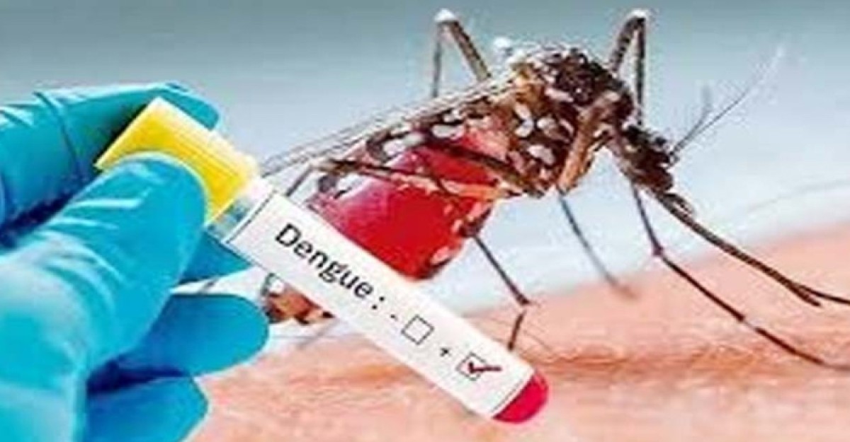 একদিনে সারাদেশে ২৩৪ জনের ডেঙ্গু শনাক্ত