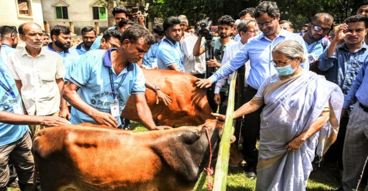 গবাদিপশুর রোগ প্রতিরোধে সময়মতো ভ্যাকসিন নিশ্চিত করতে হবে: ফরিদা আখতার