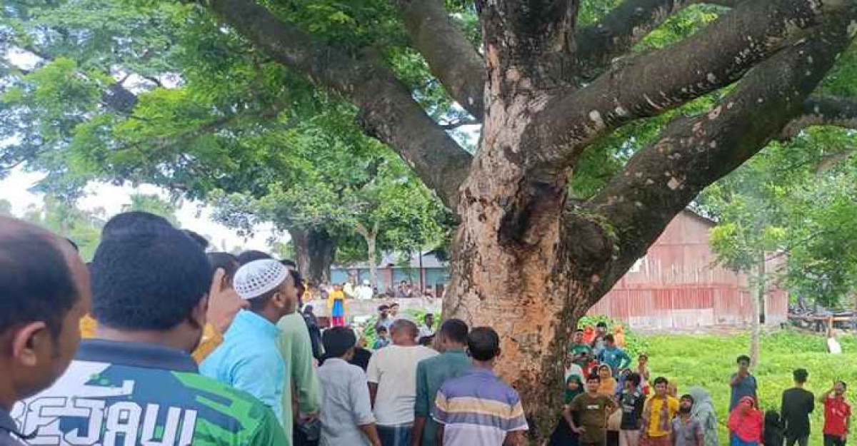 শতবর্ষী কড়ই গাছের ভেতরে আগুন, কৌতূহলে এলাকাবাসী