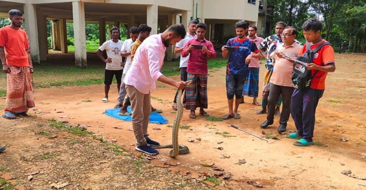 শেরপুরে অজগর সাপ উদ্ধার!