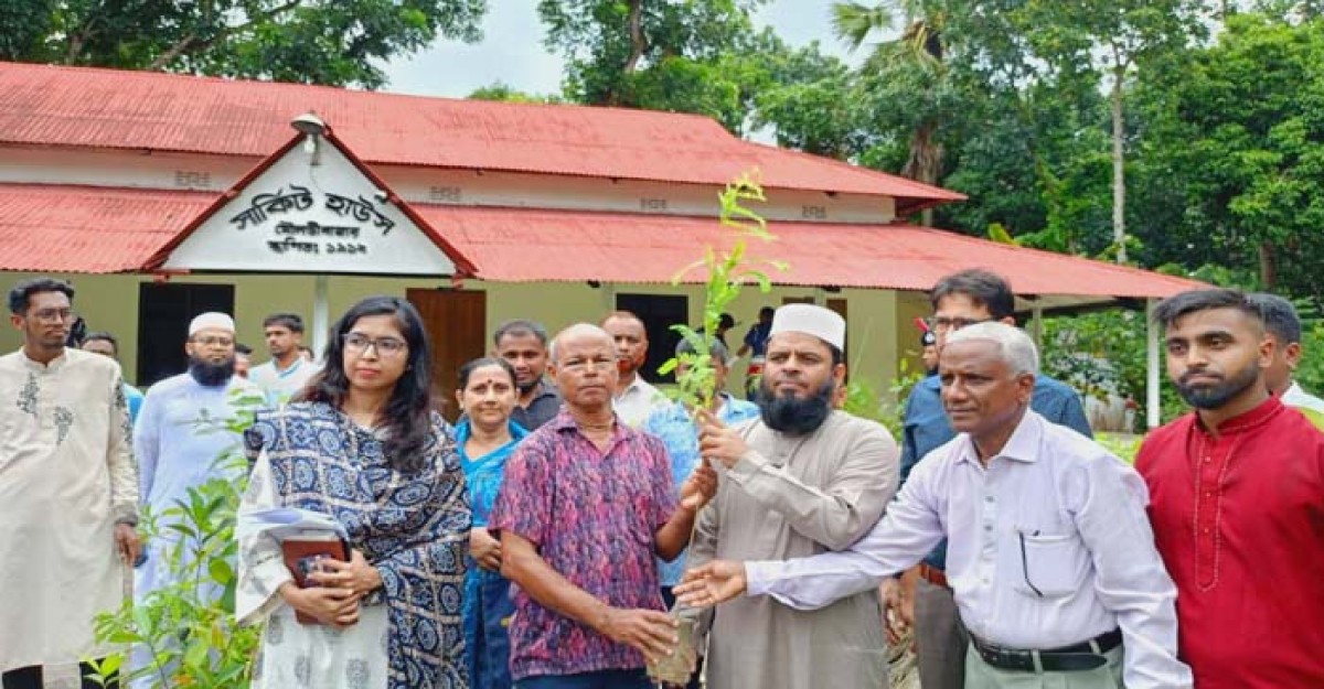 পরিবেশ রক্ষায় মৌলভীবাজারে এক লাখ গাছের চারা বিতরণ কর্মসূচি