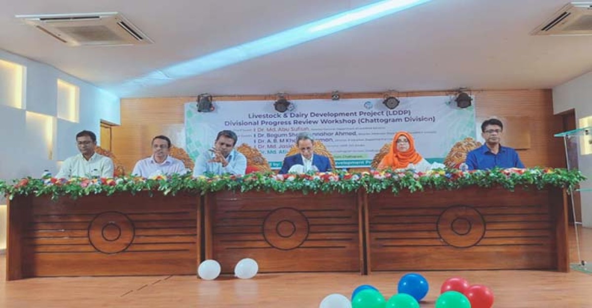 চট্টগ্রামে এলডিডিপি'র কর্মশালা অনুষ্ঠিত