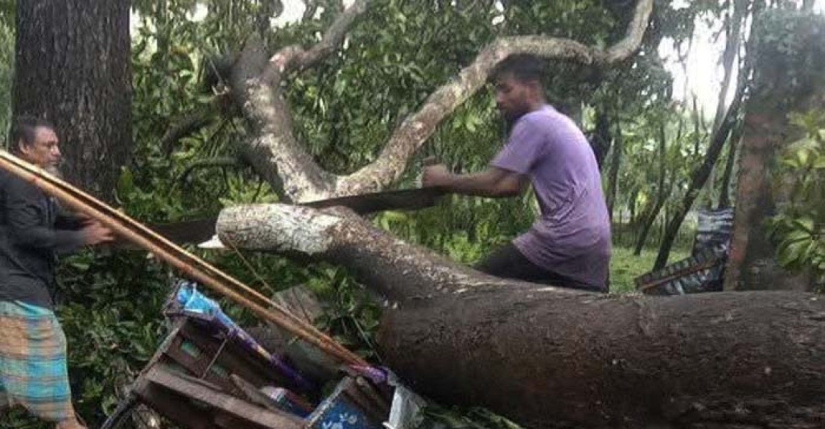 জয়পুরহাটে ঝড়ে গাছ উপরে পড়ে নিহত ১