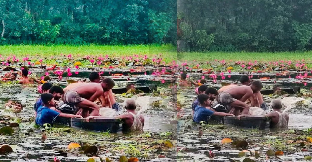 শাপলা তুলতে গিয়ে পানিতে ডুবে দুই বন্ধুর মৃত্যু
