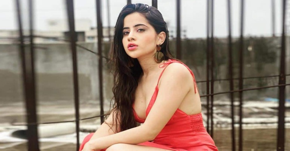 বিয়ের পিঁড়িতে বসতে যাচ্ছেন উরফি জাভেদ, পাত্র কে?