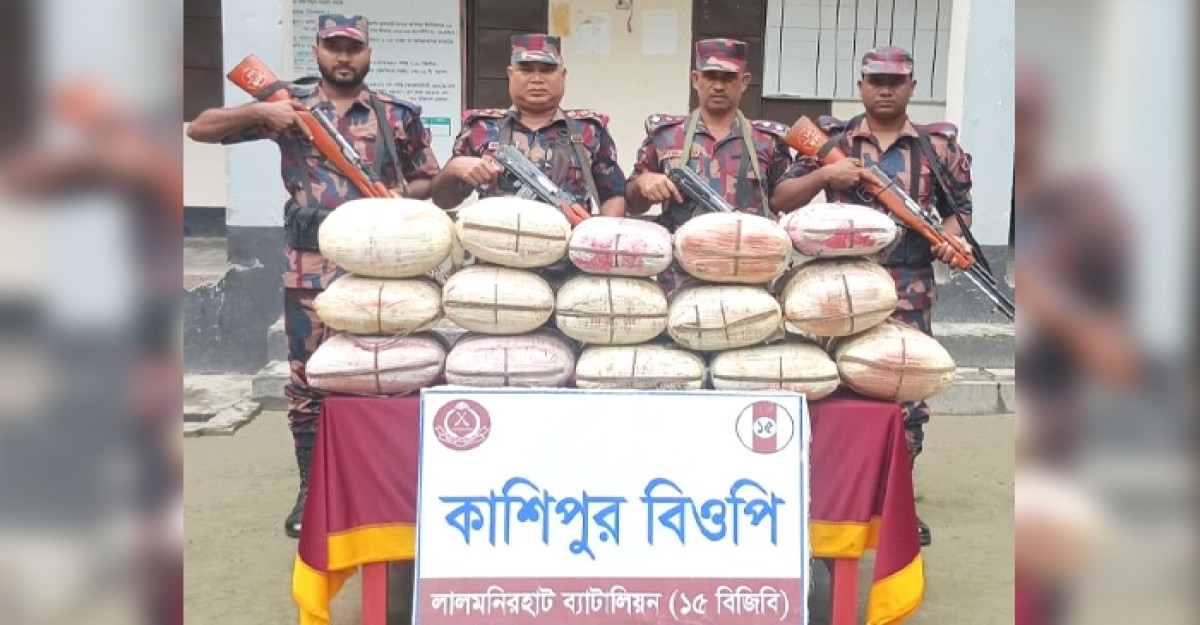 বিজিবির অভিযানে লালমনিরহাট সীমান্তে ৮২ কেজি গাঁজা জব্দ