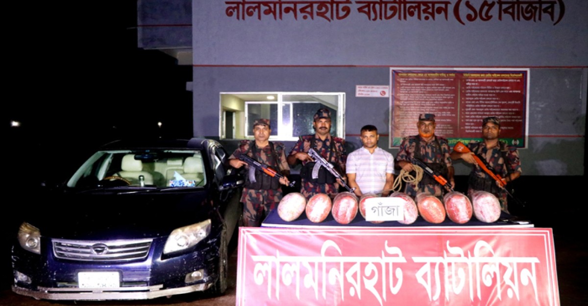 লালমনিরহাটে বিজিবির অভিযানে বিপুল পরিমাণ গাঁজা জব্দ