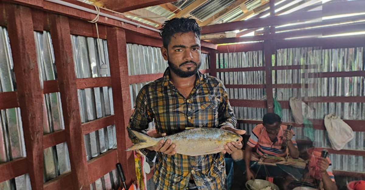 বাগেরহাটে জেলেদের জালে ধরা পড়ল বিশাল এক ইলিশ