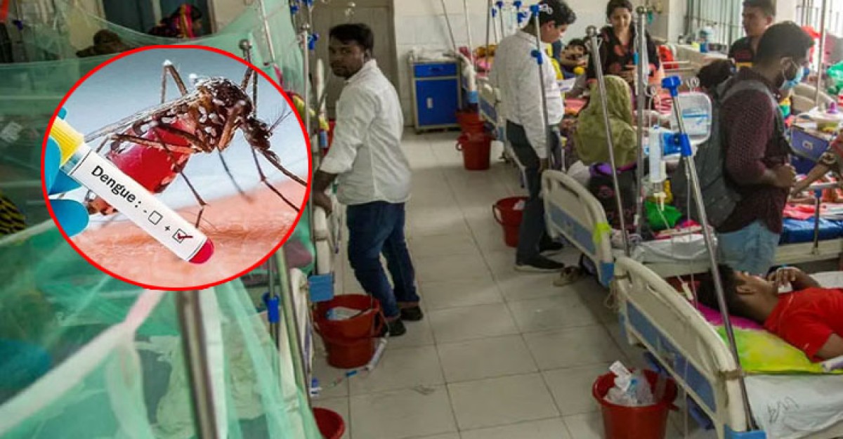 একদিনে ডেঙ্গুতে প্রাণ গেল ৫ জনের