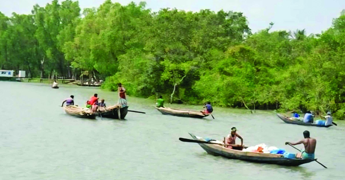 টানা তিন মাস পর উন্মুক্ত হচ্ছে সুন্দরবন