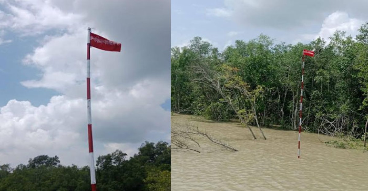 সুন্দরবনে ডলফিন অভয়ারণ্যে লাল ফ্ল্যাগ, মাছ ধরা কঠোরভাবে নিষিদ্ধ