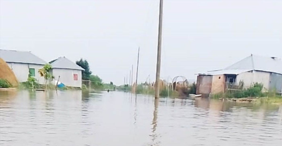পদ্মার পানি বৃদ্ধিতে রাজশাহীর ১৫ চরের মানুষ বিপাকে