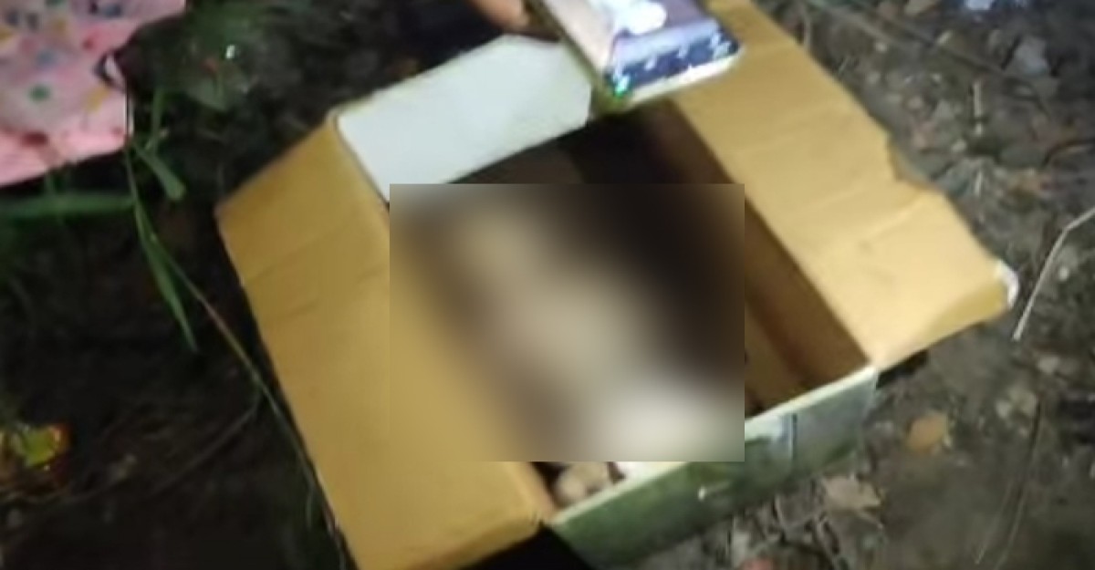 শ্রীনগরে কার্টুন বাক্স থেকে নবজাতকের লাশ উদ্ধার