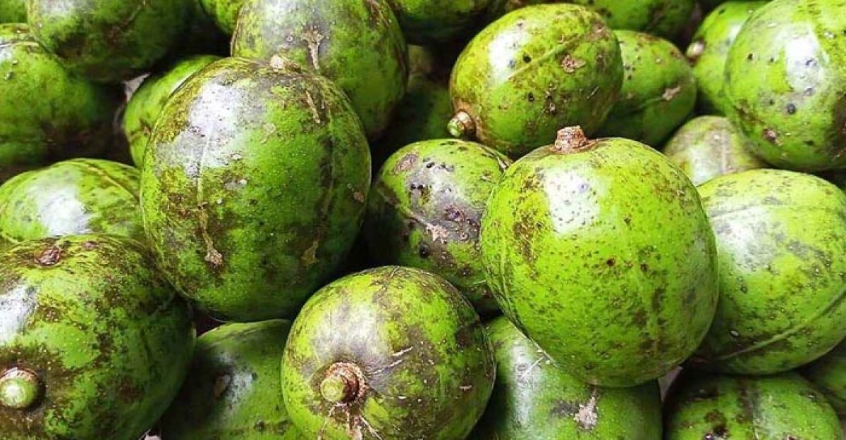 আমড়া খাওয়ার ১০টি অসাধারণ উপকারিতা জেনে নিন