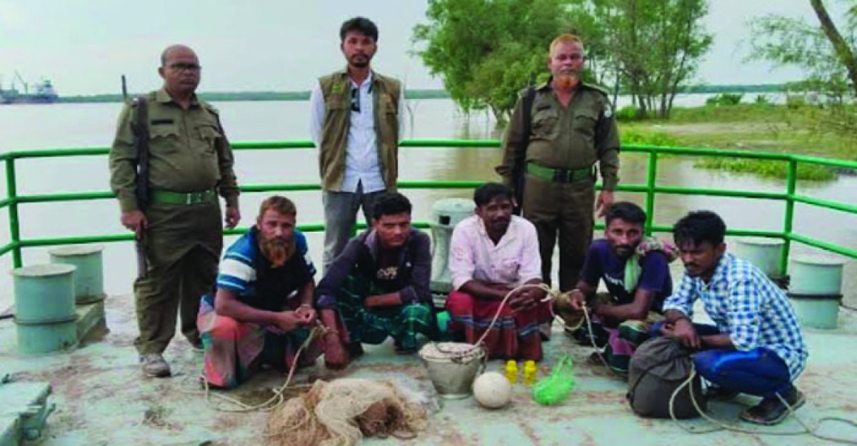 সুন্দরবনে বিষ ব্যবহার করে চিংড়ি আহরণকালে আটক ৫